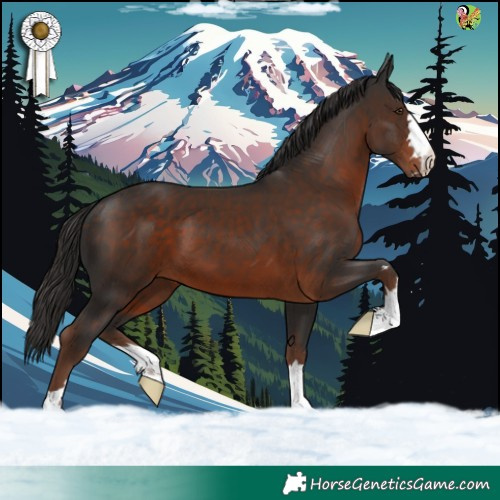 Horse Color:Liver Chestnut 