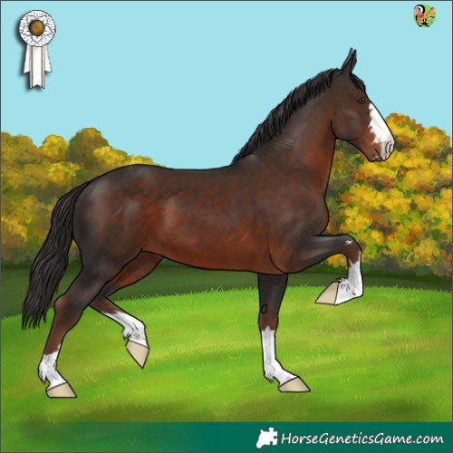 Horse Color:Liver Chestnut 