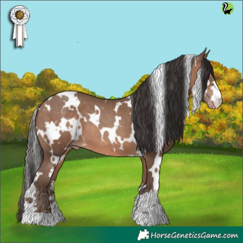 Horse Color:White Spotted Sable Champagne 