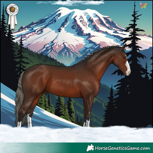 Horse Color:Liver Chestnut 