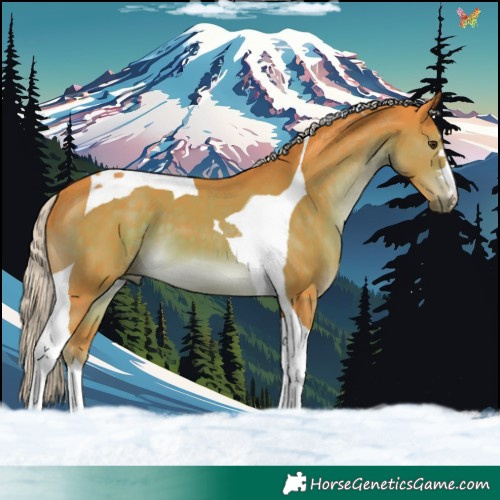 Horse Color:Watercolor Chocolate Palomino Tobiano 