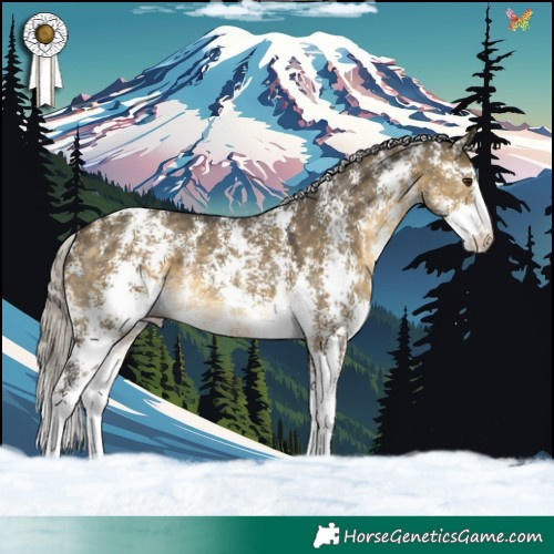 Horse Color:Silver Buckskin Dun Sabino Rabicano 