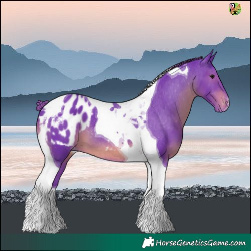 Horse Color:Watercolor Smoky Black Tobiano Blanket 