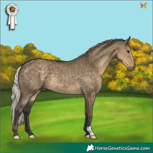 Horse Color:Silver Smoky Grullo 