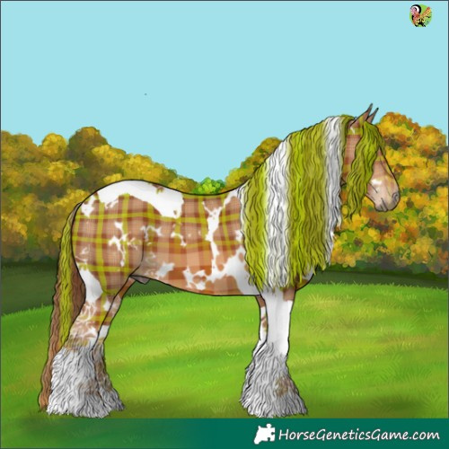 Horse Color:Plaid  White Spotted Chestnut Tobiano 