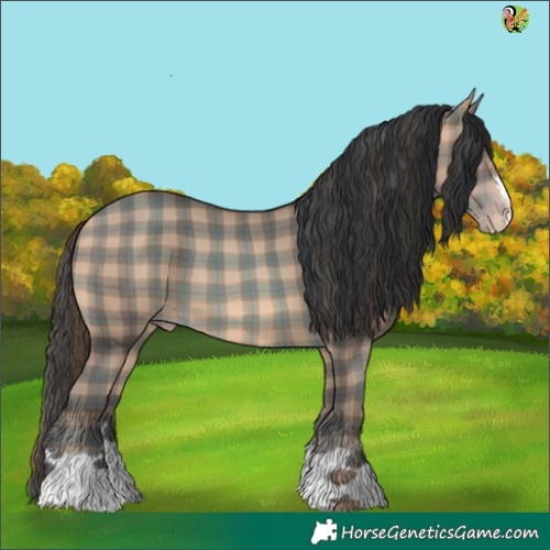 Horse Color:Plaid  Sable Champagne 