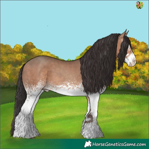 Horse Color:White Spotted Sable Champagne 