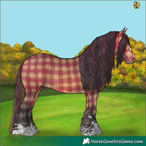 Horse Color:Plaid  Bay 