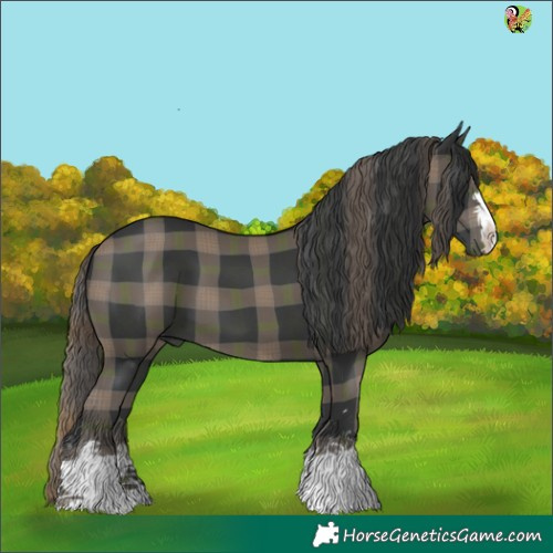 Horse Color:Plaid  Black 