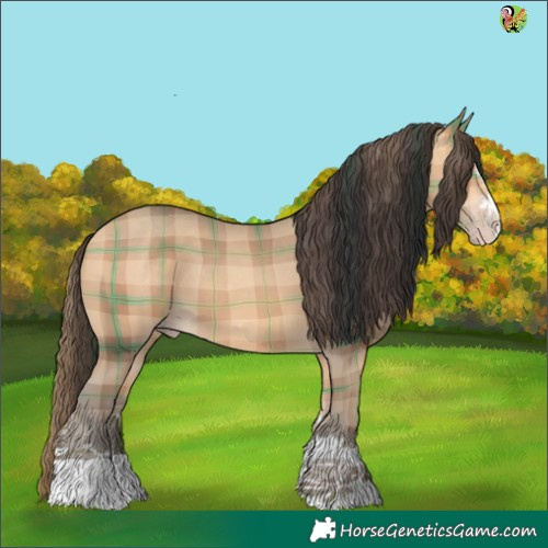 Horse Color:Plaid  Amber Champagne 