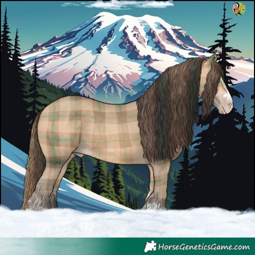 Horse Color:Plaid  Amber Champagne 