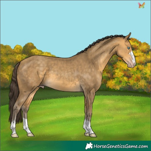 Horse Color:Sable Cream Champagne 