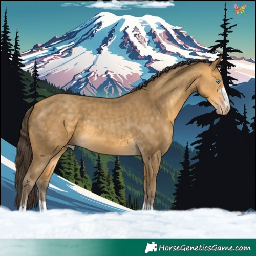Horse Color:Sable Cream Champagne 