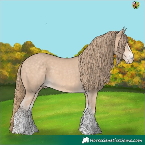 Horse Color:White Spotted Perlino 