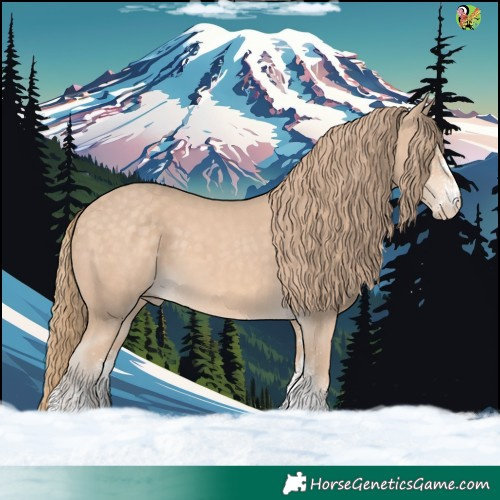 Horse Color:White Spotted Perlino 