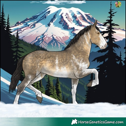 Horse Color:White Spotted Buckskin Dun 