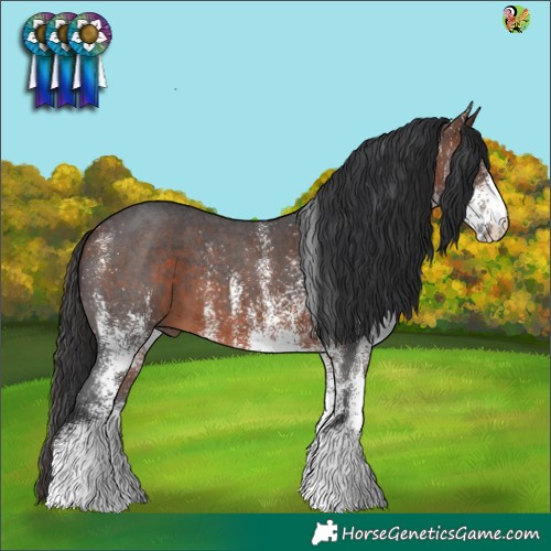 Horse Color:White Spotted Brown 