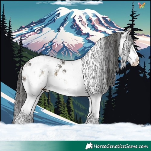 Horse Color:White Spotted Buckskin Sabino 