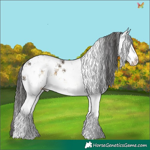 Horse Color:White Spotted Buckskin Sabino 