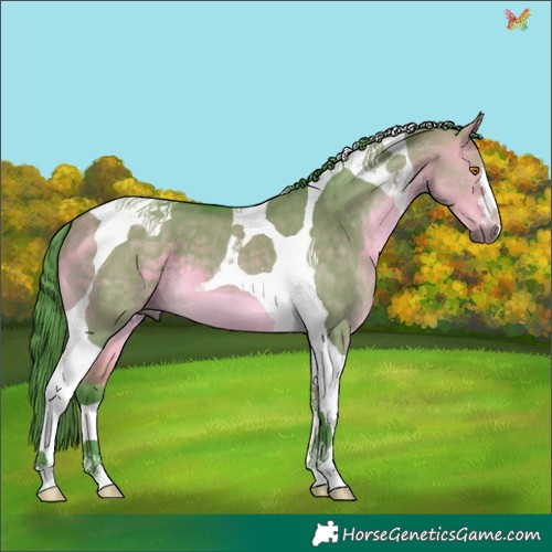Horse Color:Watercolor Buckskin Dun Tobiano 