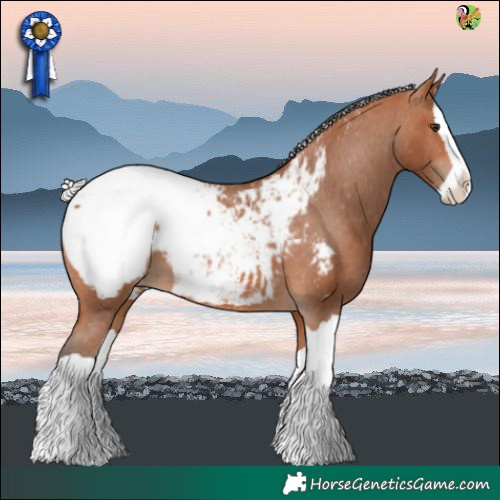 Horse Color:Silver Bay Splash Near Fewspot 