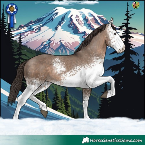 Horse Color:White Spotted Brown Dun Appaloosa 