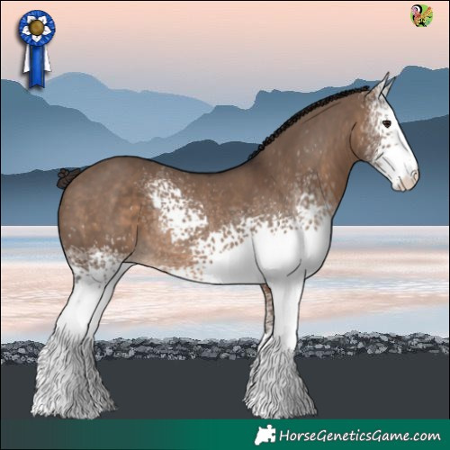 Horse Color:White Spotted Brown Dun Varnish 