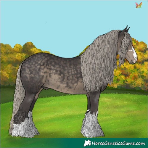 Horse Color:Silver Smoky Black 