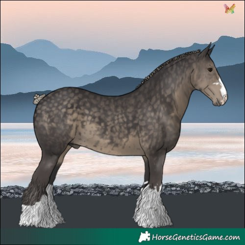 Horse Color:Silver Smoky Black 