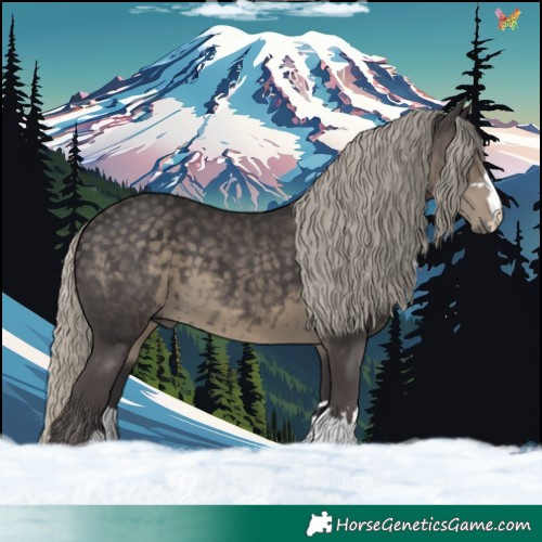 Horse Color:Silver Smoky Black 