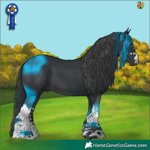 Horse Color:White Spotted Black 