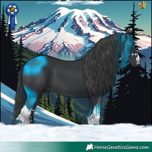 Horse Color:White Spotted Black 