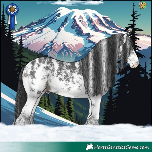 Horse Color:Black Sabino 