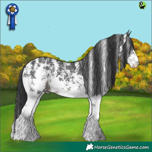 Horse Color:Black Sabino 