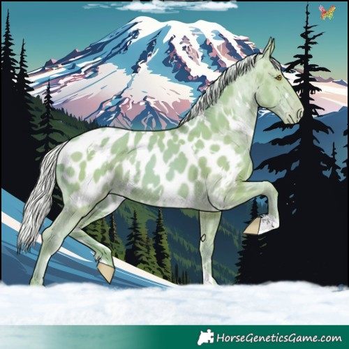 Horse Color:Watercolor White Spotted Silver Classic Champagne Blanket 