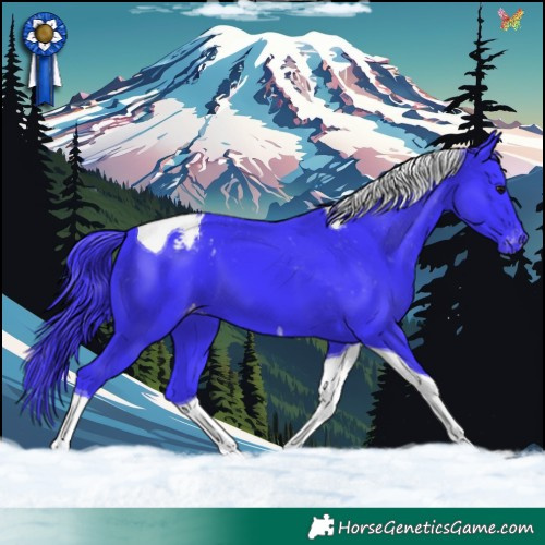 Horse Color:Watercolor Smoky Black Tobiano Blanket 