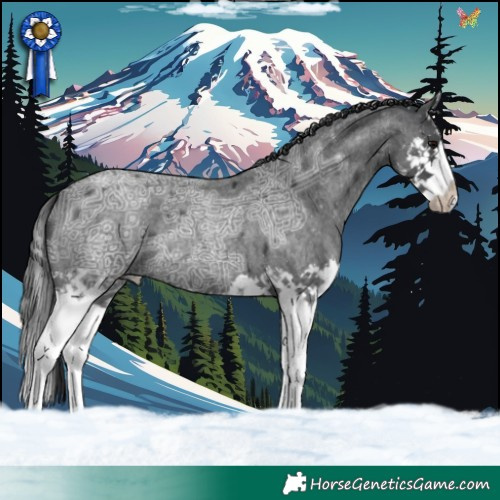 Horse Color:Blue Ice Roan Splash 