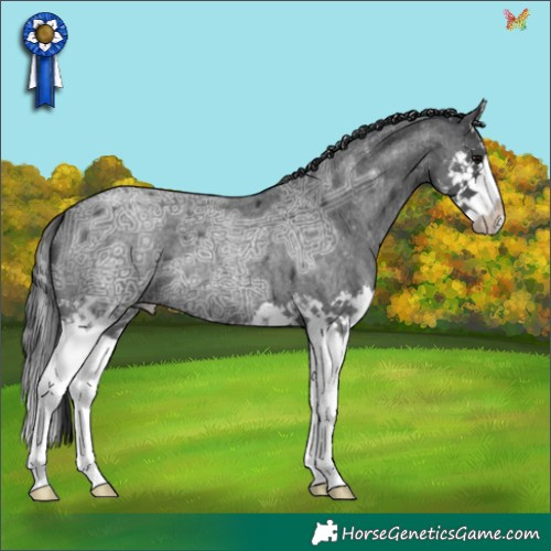 Horse Color:Blue Ice Roan Splash 
