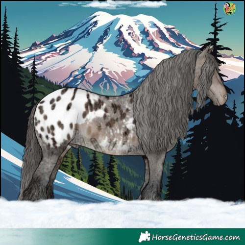 Horse Color:Brown Ice Dun Appaloosa 