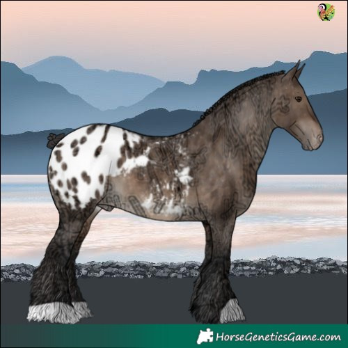 Horse Color:Brown Ice Dun Blanket 