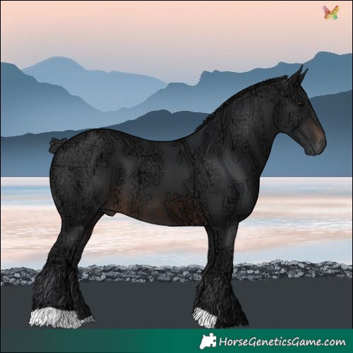 Horse Color:Brown Ice 