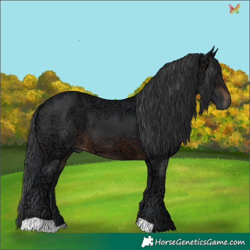 Horse Color:Brown Ice 