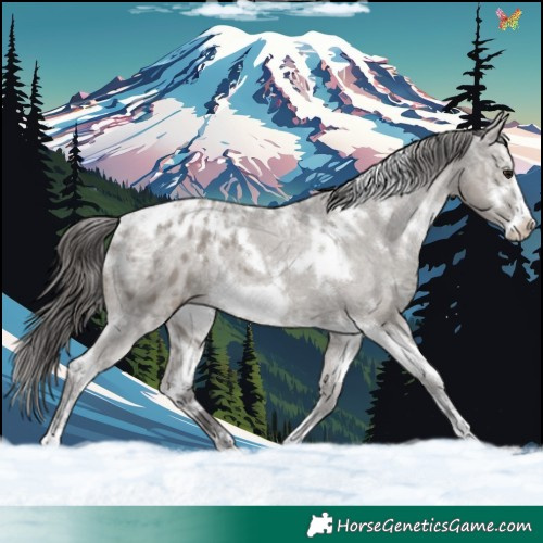 Horse Color:White Spotted Smoky Grullo Ice Frame Blanket Rabicano 