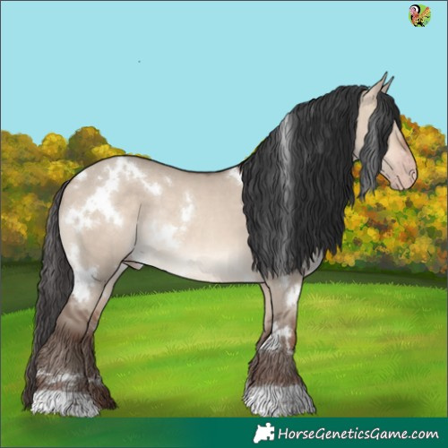 Horse Color:White Spotted Sable Champagne Dun Rabicano 