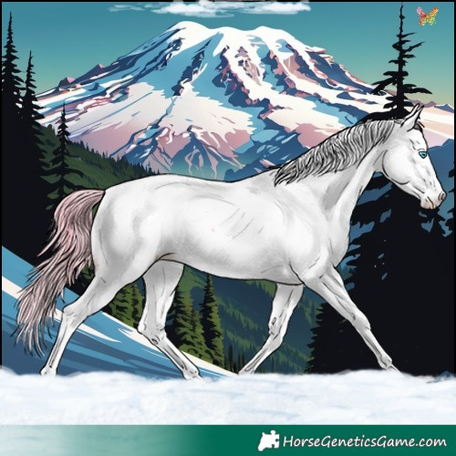Horse Color:White Spotted Brown Dun Splash Fewspot Rabicano 