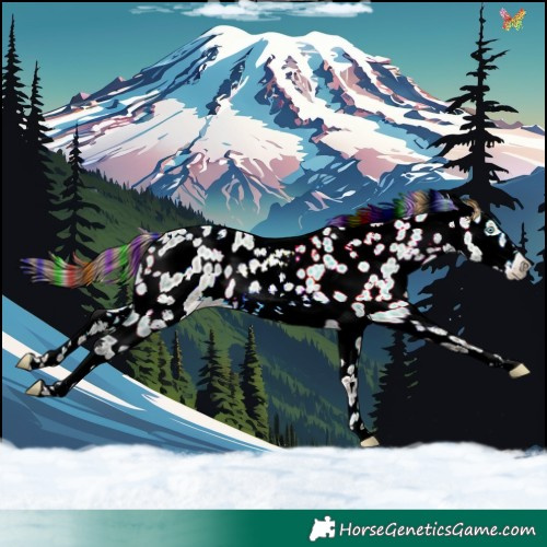Horse Color:Painted White Spotted Amber Champagne Dun Frame Leopard Rabicano 