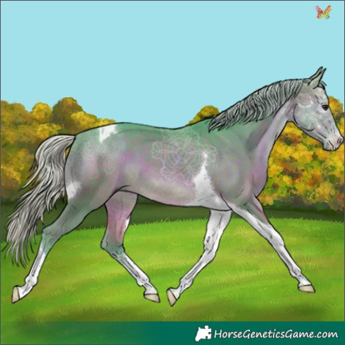 Horse Color:Watercolor Silver Brown Sabino Tobiano 