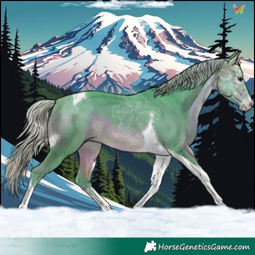 Horse Color:Watercolor Silver Brown Sabino Tobiano 