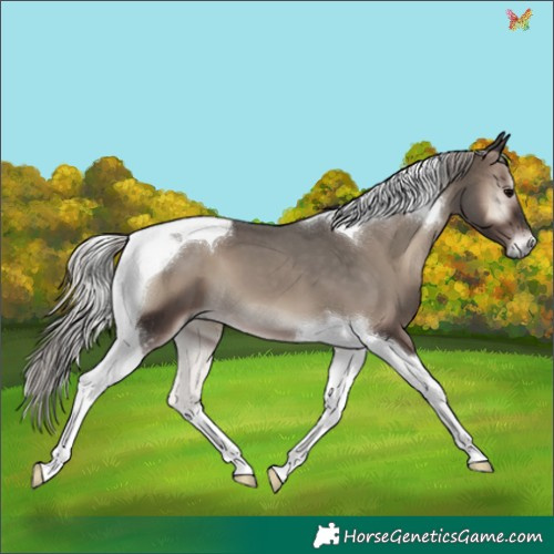Horse Color:Silver Blue Onyx Tobiano 