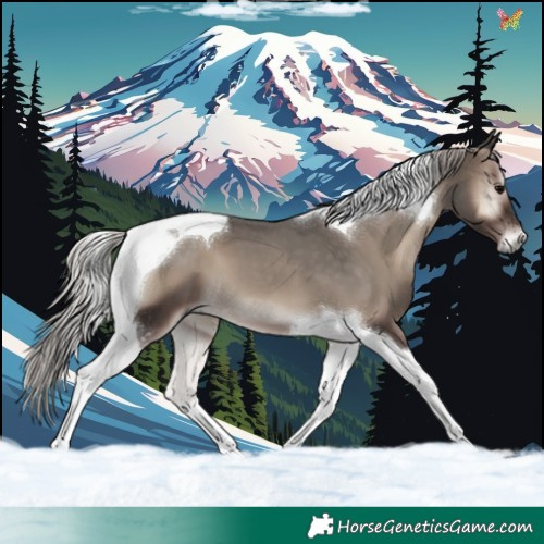 Horse Color:Silver Blue Onyx Tobiano 